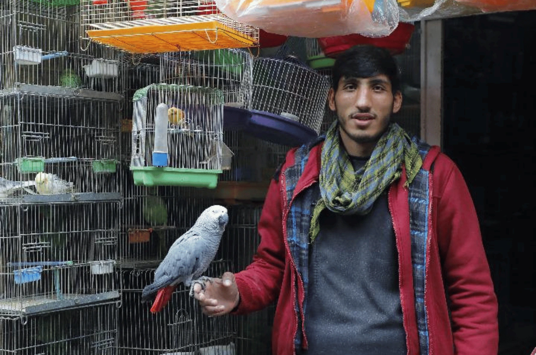 The Afghan Tour Application Project